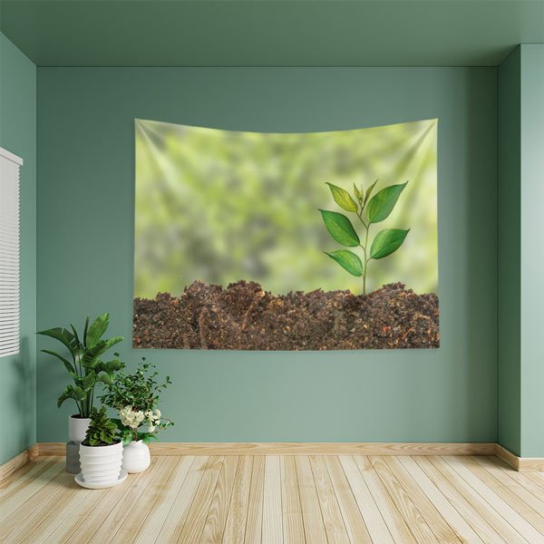 Topraktan Filizlenen Genç Bitki Duvar Örtüsü - Doğa ve Biyoloji Temalı 8219