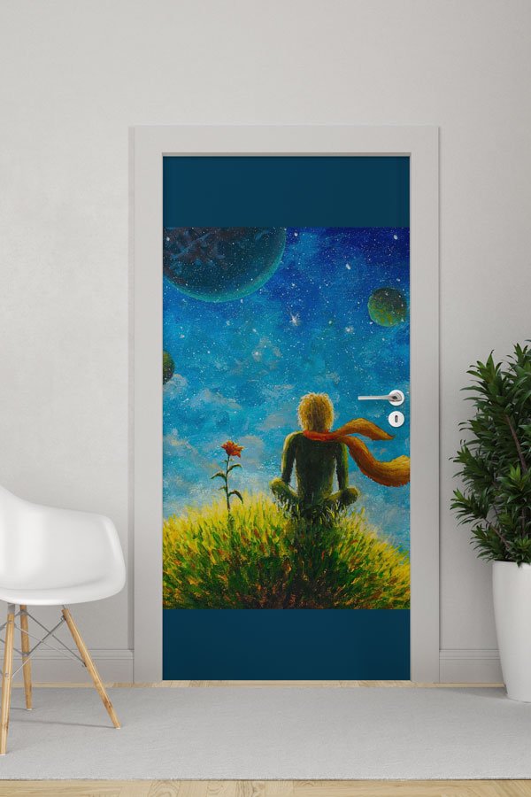 science-class-door-design-8554-0 Küçük Prens Temalı Kapı Giydirme 8554