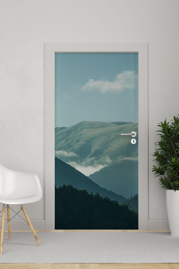 Türkiye Fotoğrafları - Kapı Tasarımı 9822