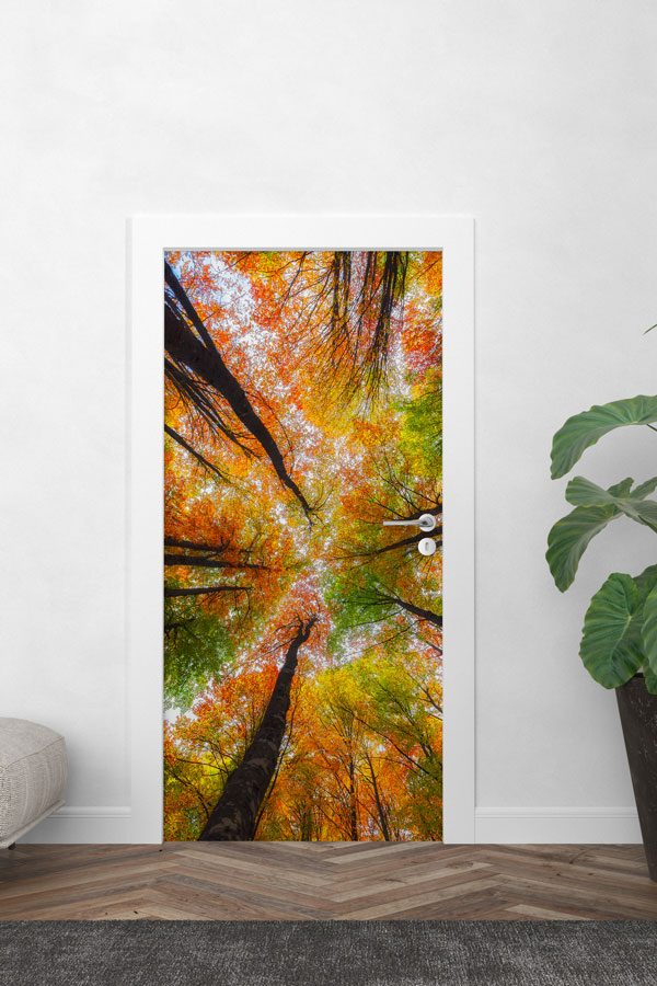 Türkiye Fotoğrafları - Kapı Tasarımı 9833