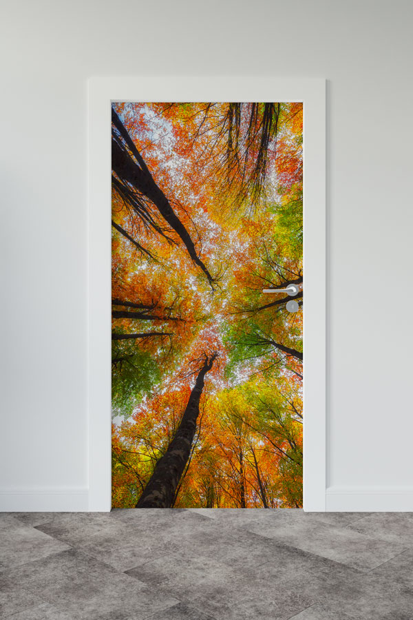 okul,sınıf,kapı,giydirme Türkiye Fotoğrafları - Kapı Tasarımı 9833