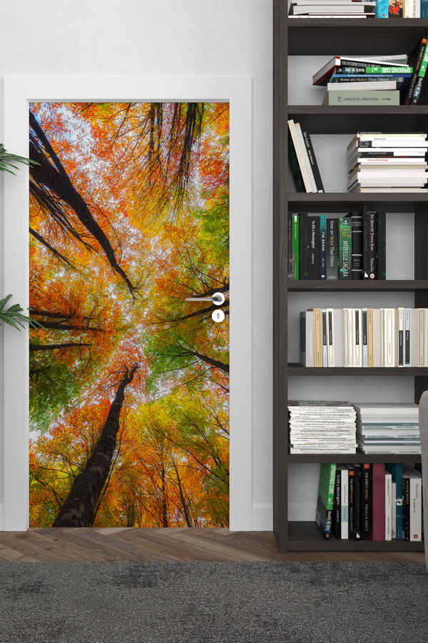 Türkiye Fotoğrafları - Kapı Tasarımı 9833