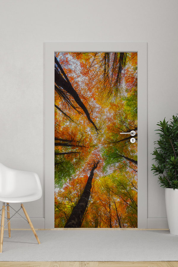 Türkiye Fotoğrafları - Kapı Tasarımı 9833