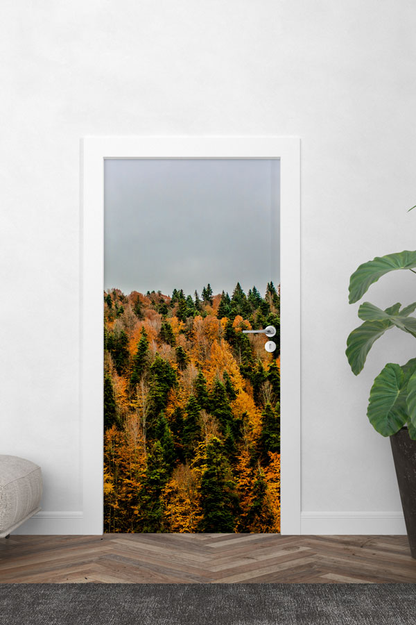 Türkiye Fotoğrafları - Kapı Tasarımı 9834