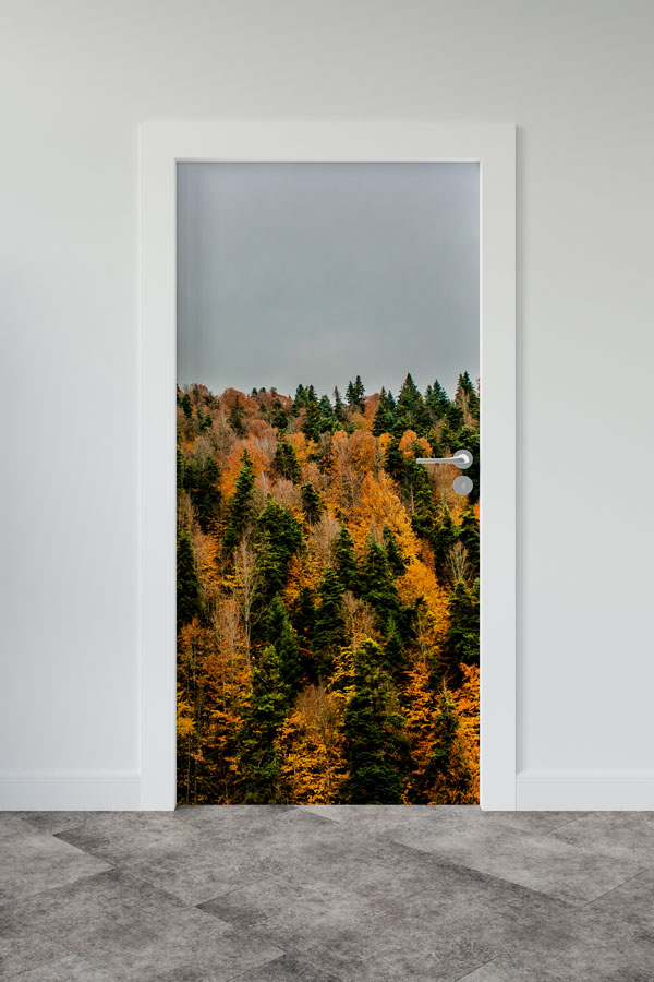 okul,sınıf,kapı,giydirme Türkiye Fotoğrafları - Kapı Tasarımı 9834