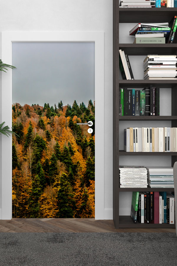 Türkiye Fotoğrafları - Kapı Tasarımı 9834