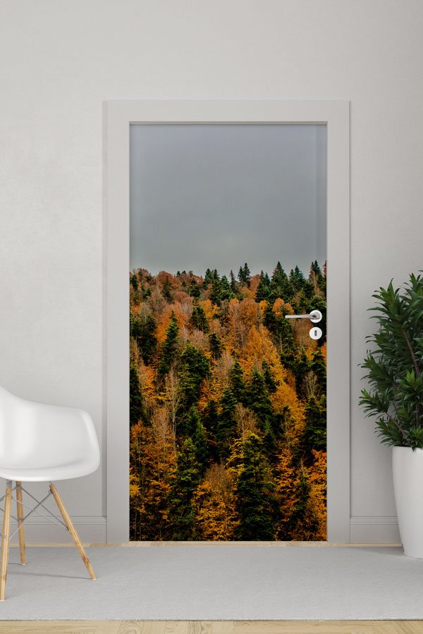 Türkiye Fotoğrafları - Kapı Tasarımı 9834