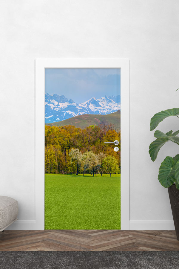 sınıf, kapı, giydirme, tasarım Yeşil Çayır ve Karlı Dağlar Doğa Manzaralı Kapı Giydirme 9747