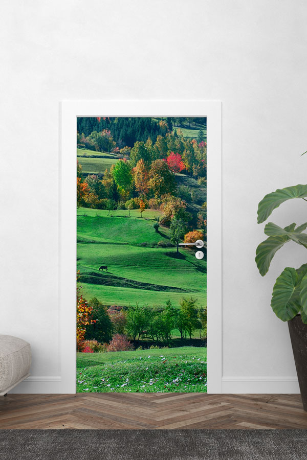 Türkiye Fotoğrafları - Kapı Tasarımı 9837