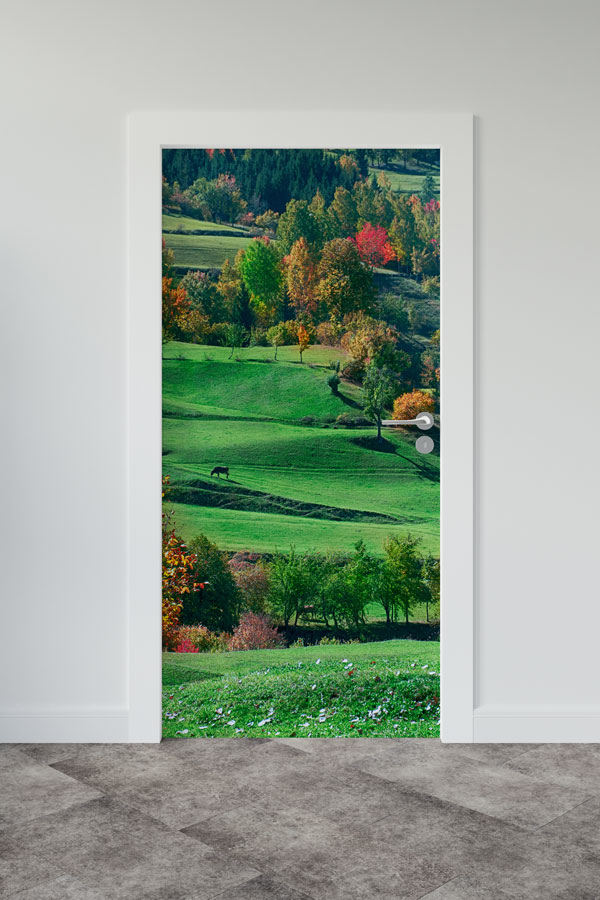 okul,sınıf,kapı,giydirme Türkiye Fotoğrafları - Kapı Tasarımı 9837