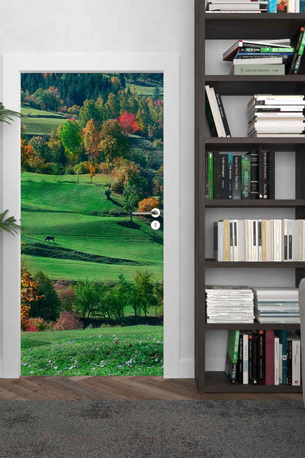 Türkiye Fotoğrafları - Kapı Tasarımı 9837