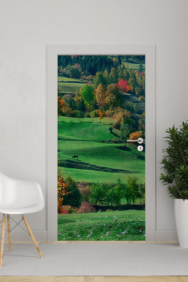 Türkiye Fotoğrafları - Kapı Tasarımı 9837