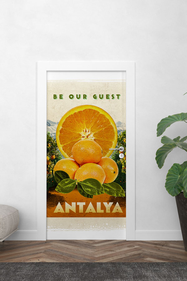 Antalya Kapı Giydirme 9760