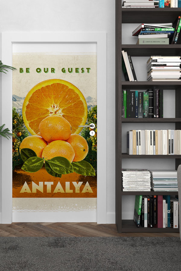 Antalya Kapı Giydirme 9760