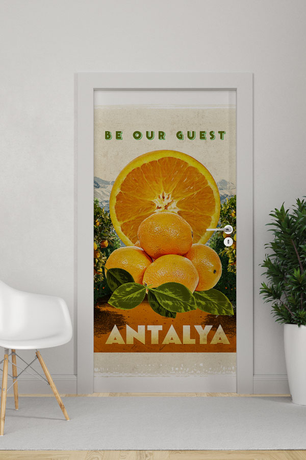 Antalya Kapı Giydirme 9760