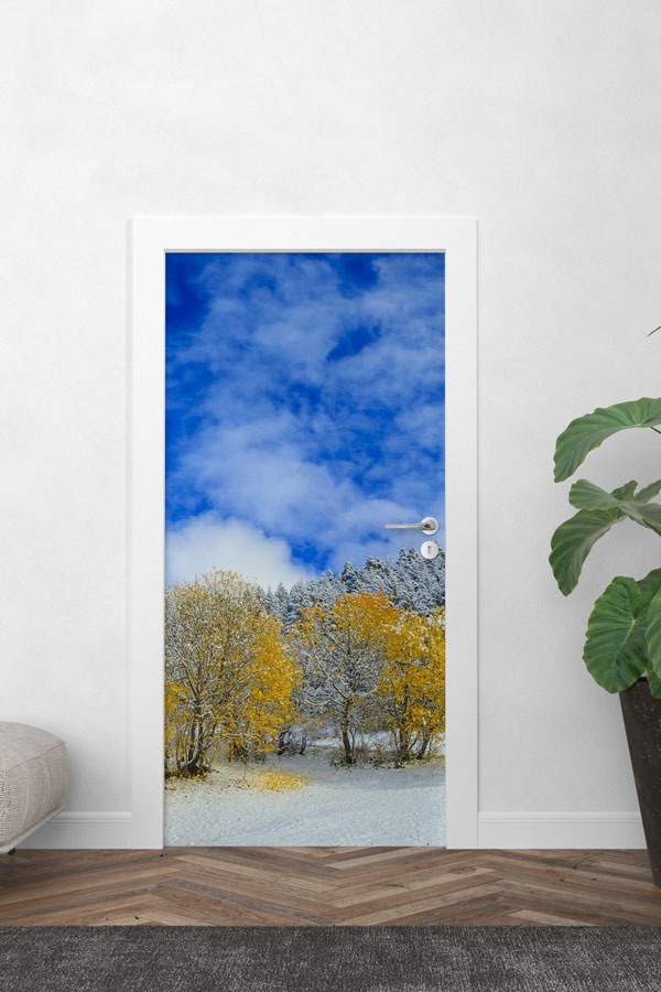 Türkiye Fotoğrafları - Kapı Tasarımı 9835