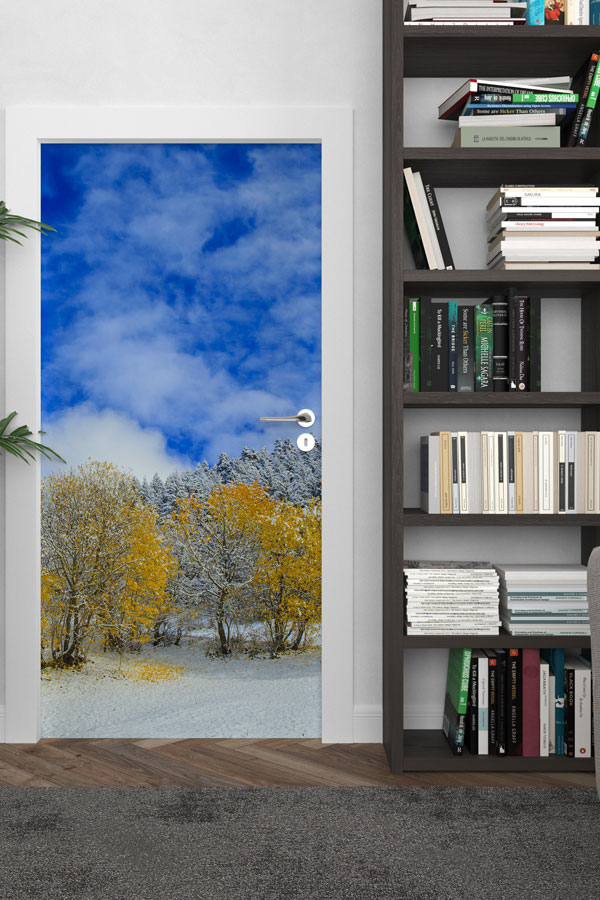 Türkiye Fotoğrafları - Kapı Tasarımı 9835