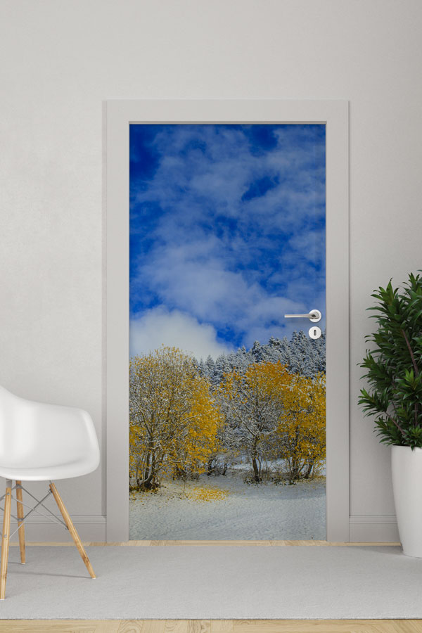 Türkiye Fotoğrafları - Kapı Tasarımı 9835