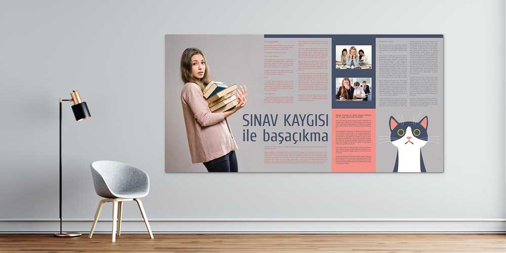 Sınav Kaygısı ile Başa Çıkma Rehberi Posteri 3034