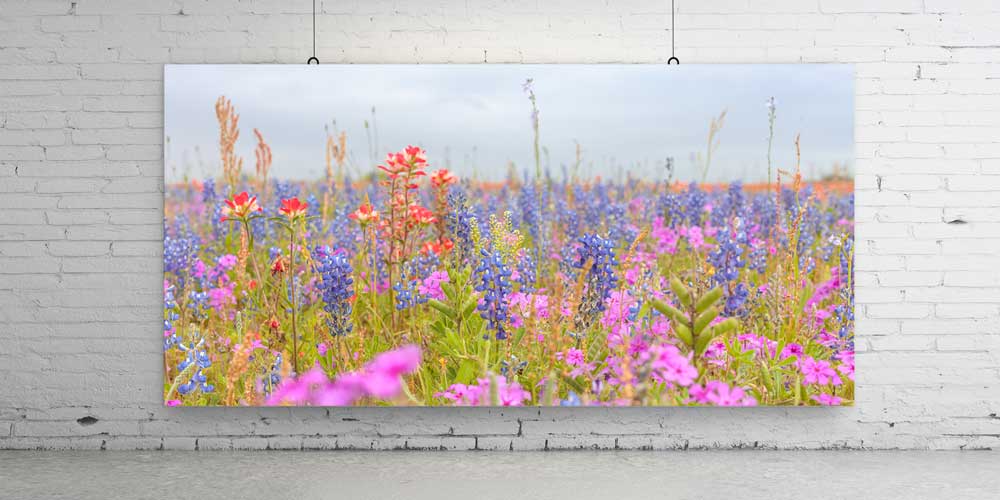 size-wall-art-decor-14171-03 Renkli Çiçek Tarlası Manzarası Büyük Ebat Duvar Dekor Ürünü 14171