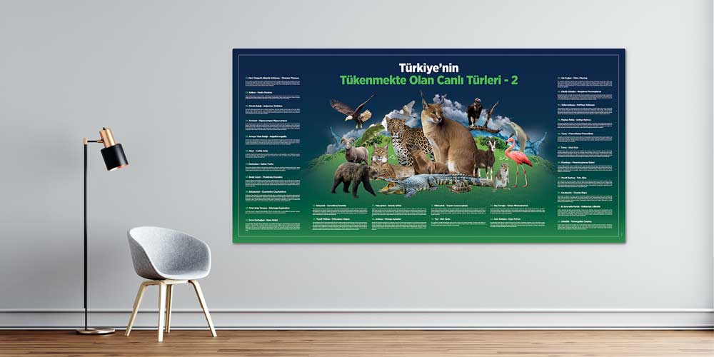 sosyal-bilgiler-sinifi-f-127-00 Türkiye'nin Tükenmekte Olan Canlı Türleri Duvar Dekoru - Sosyal Bilgiler Sınıfı F-127