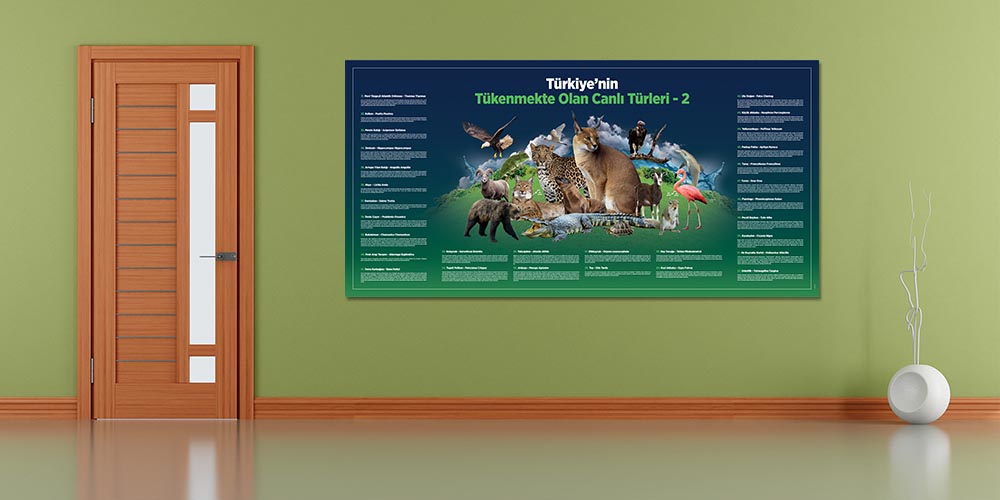 Türkiye'nin Tükenmekte Olan Canlı Türleri Duvar Dekoru - Sosyal Bilgiler Sınıfı F-127
