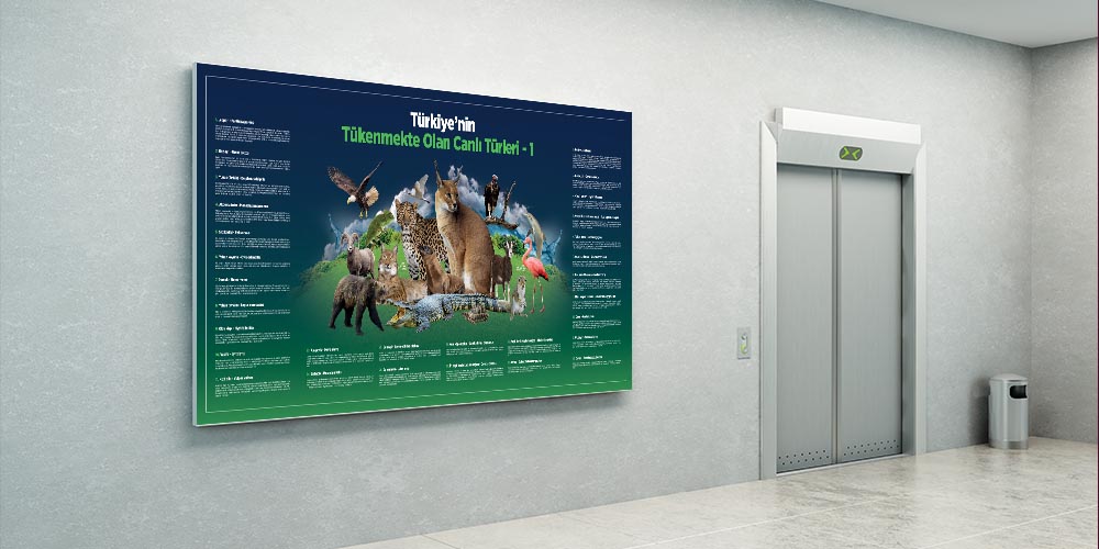 Türkiye'nin Tükenmekte Olan Canlı Türleri Duvar Dekoru - Sosyal Bilgiler Sınıfı F-127