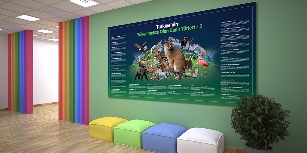 Türkiye'nin Tükenmekte Olan Canlı Türleri Duvar Dekoru - Sosyal Bilgiler Sınıfı F-127