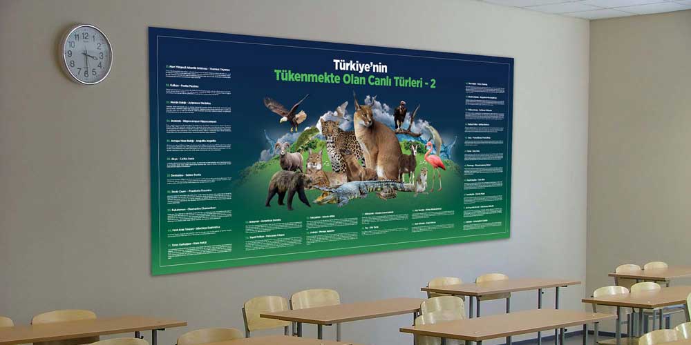 Türkiye'nin Tükenmekte Olan Canlı Türleri Duvar Dekoru - Sosyal Bilgiler Sınıfı F-127
