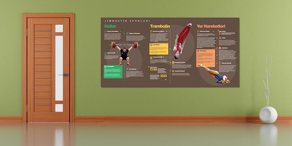 Jimnastik Sporları Eğitim Posteri A-204