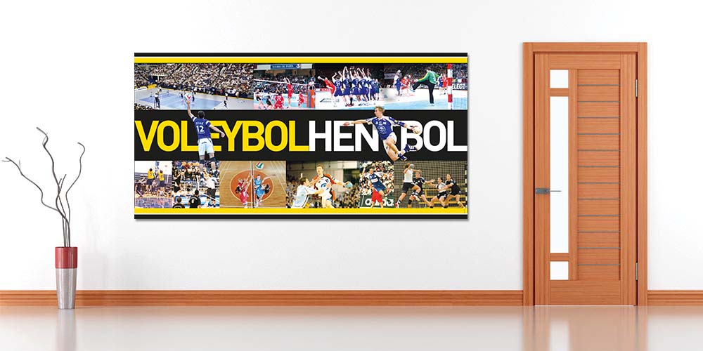 Voleybol ve Hentbol Temalı Duvar Giydirme Posteri A-212