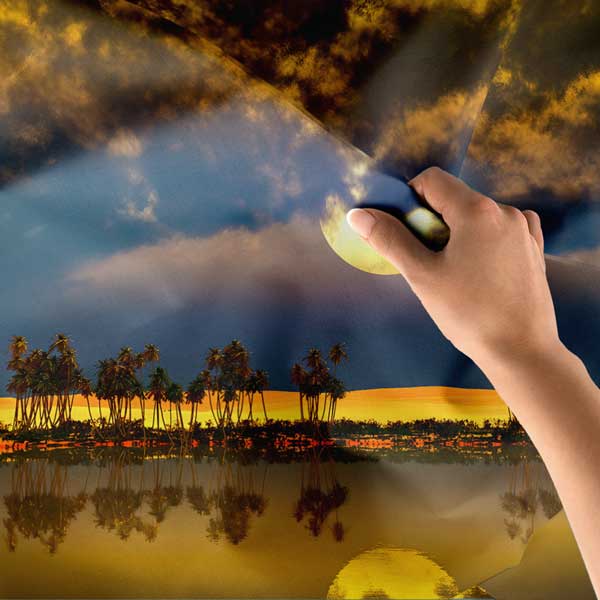 Afrika Çölü Ay Manzarası ve Palmiye Siluetleri Duvar Örtüsü Kumaş Baskı 14280