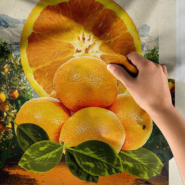 Antalya Portakal Temalı Duvar Örtüsü 11827