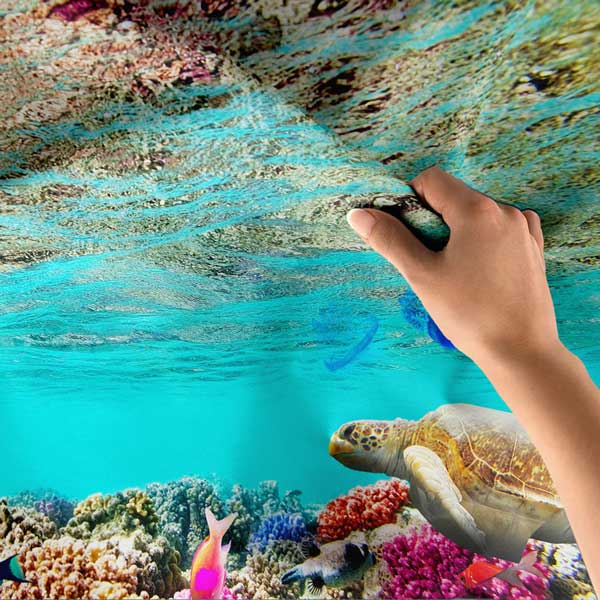 Deniz Kaplumbağası Su Altı Manzarası Duvar Örtüsü 14309