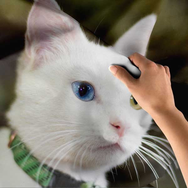 Yukarıdan Bakış Kanyon Nehri ve Kano Sahnesi Duvar Örtüsü Kumaş Baskı 11668