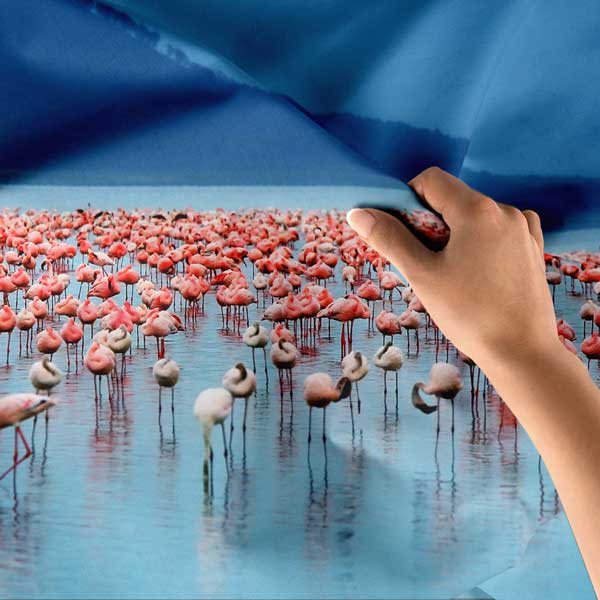 Afrika Flamingo Sürüsü Göl Manzarası Duvar Örtüsü Kumaş Baskı 14268