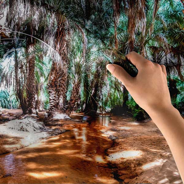 Afrika Palmiye Vahası Doğa Manzarası Duvar Örtüsü Kumaş Baskı 14272