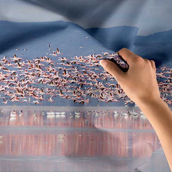 Afrika Flamingo Sürüsü Göl Manzarası Duvar Örtüsü Kumaş Baskı 14282