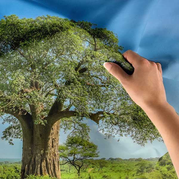 Afrika Baobab Ağacı Doğa Manzarası Duvar Örtüsü Kumaş Baskı 14269