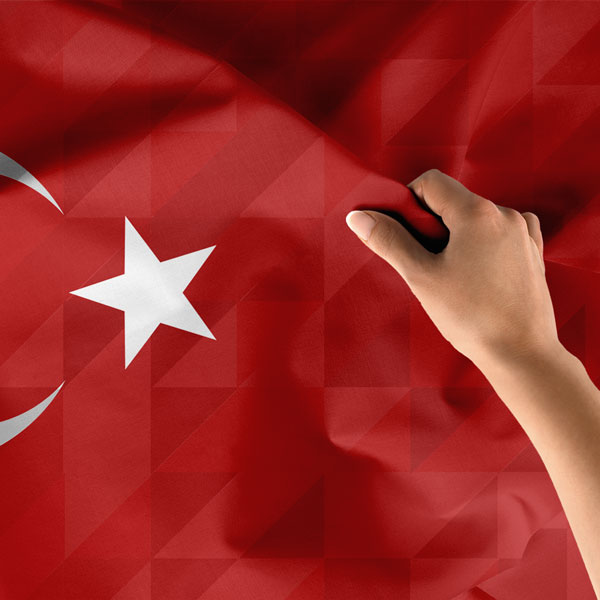 Geometrik Türk Bayrağı Duvar Örtüsü 7767