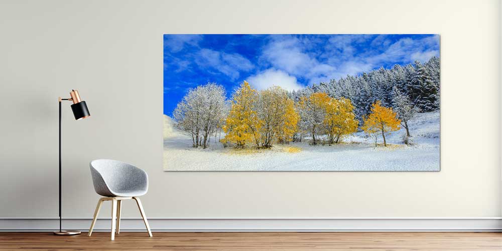 Karla Buluşan Sonbahar Ağaçları Panorama Büyük Ebatlı Duvar Dekoru 11948
