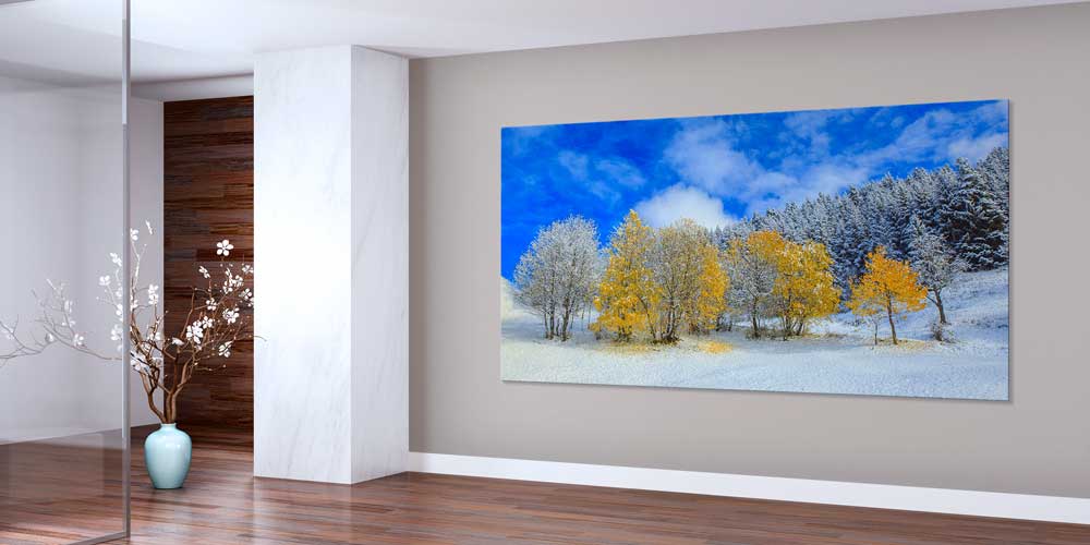 Karla Buluşan Sonbahar Ağaçları Panorama Büyük Ebatlı Duvar Dekoru 11948