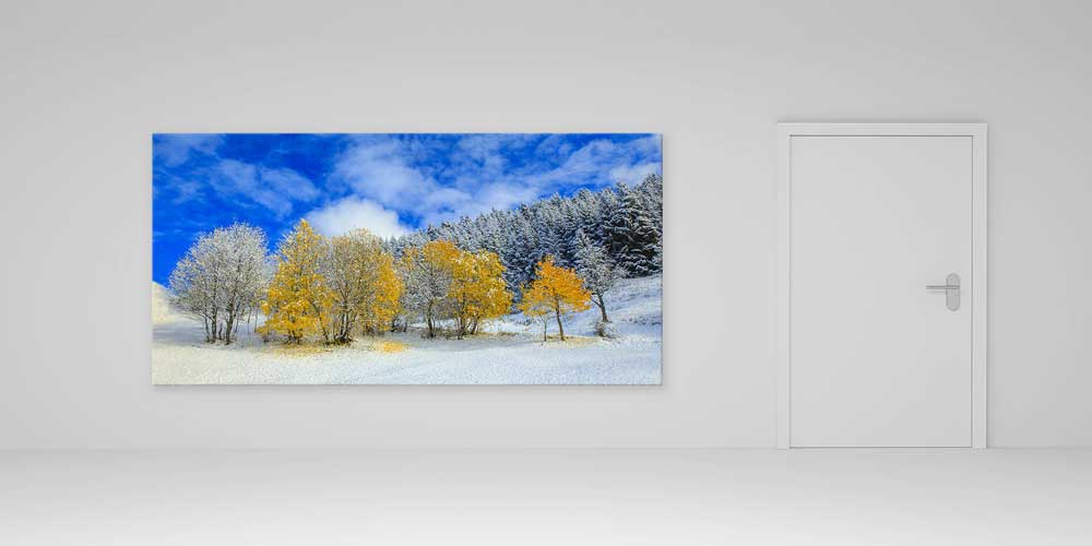Karla Buluşan Sonbahar Ağaçları Panorama Büyük Ebatlı Duvar Dekoru 11948