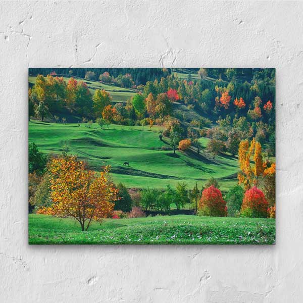 Yeşil Tepeler ve Sonbahar Renkleri Doğa Kanvas Tablo 12108