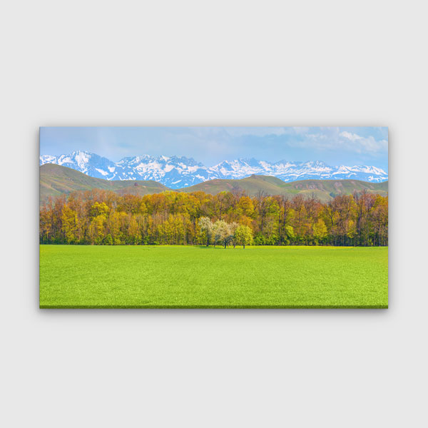 Yeşil Ova ve Karlı Dağlar Manzarası Kanvas Tablo 12051