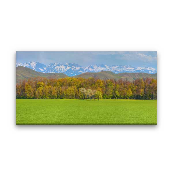 Yeşil Ova ve Karlı Dağlar Manzarası Kanvas Tablo 12051