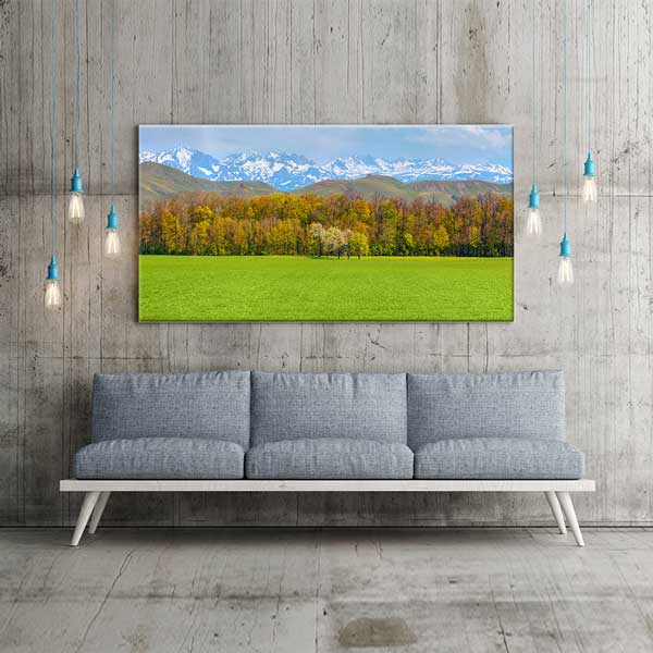 Yeşil Ova ve Karlı Dağlar Manzarası Kanvas Tablo 12051