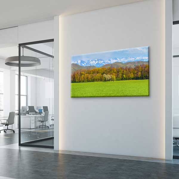 Yeşil Ova ve Karlı Dağlar Manzarası Kanvas Tablo 12051