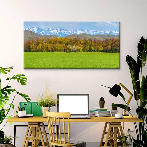 Yeşil Ova ve Karlı Dağlar Manzarası Kanvas Tablo 12051