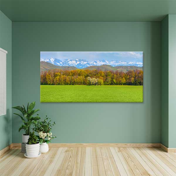 Yeşil Ova ve Karlı Dağlar Manzarası Kanvas Tablo 12051